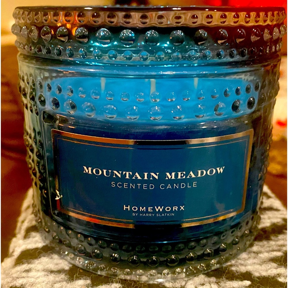 “MOUNTAIN MEADOW” HOMEWORX BY HARRY SLATKIN 4 WICK CANDLE BRAND NEW SOLD OUT!